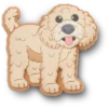 ‘B’golden Doodle Puppy Jibbitz Ayakkabı Süsü’