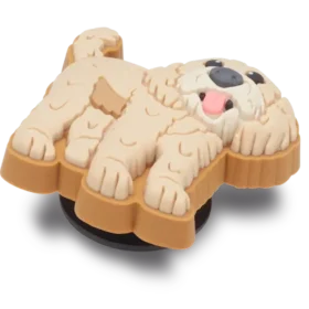 ‘B’golden Doodle Puppy Jibbitz Ayakkabı Süsü’