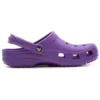 Classic Clogs “Neon Mor”