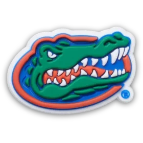 Florida Üniversitesi Jibbitz Süsleri