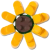Lego® Ayçiçeği Jibbitz™ Süsleri Lego® Ayçiçeği Jibbitz™ Süsleri