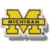 Michigan Üniversitesi Jibbitz™ Süsleri
