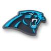 NFL Carolina Panthers Logolu Jibbitz Süsleri