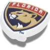 Nhl® Florida Panthers Jibbitz Süsleri