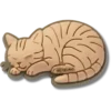 Tekir Kedi Jibbitz Süsleri
