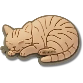 Tekir Kedi Jibbitz Süsleri